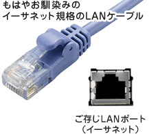 イーサネット規格のLANケーブル＆LANポート