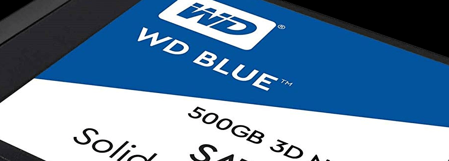 WESTERNDIGITAL WDC WDS500G2B0A-00SM50 500.1 GB